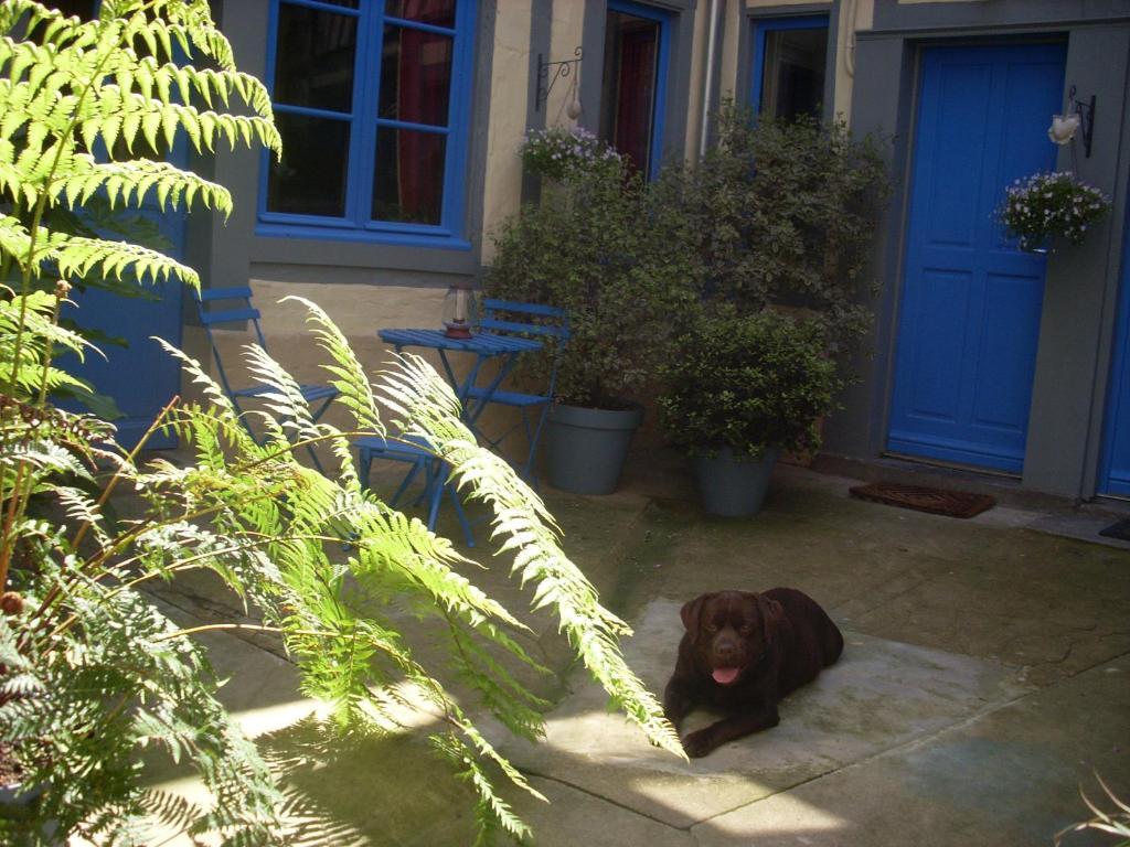 Bed and Breakfast Reglisse et Pain d'Epices Honfleur Exterior foto